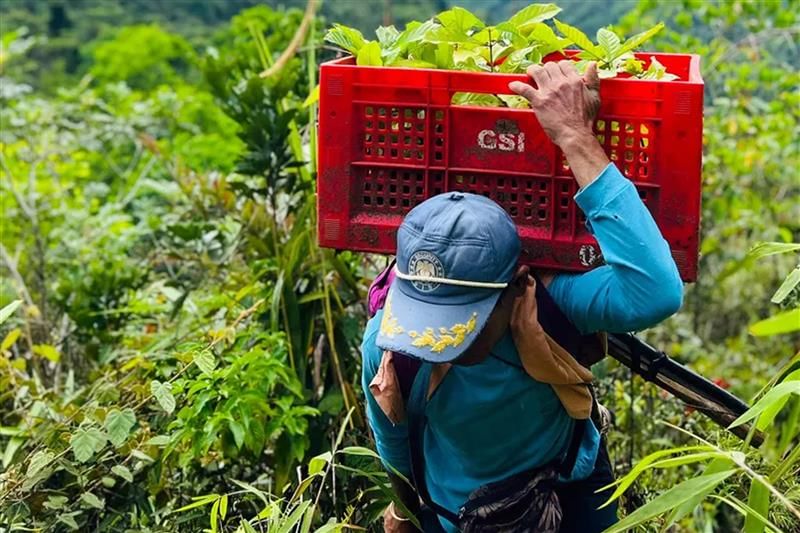 Wir pflanzen für die Zukunft – wieder einmal